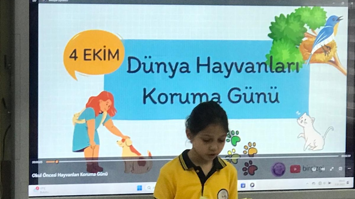 4 EKİM HAYVANLARI KORUMA GÜNÜ